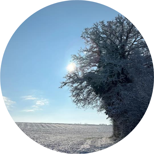 Baumann Optik für Sie da